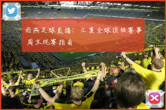 雨燕足球直播:汇集全球顶级赛事 周末观赛指南