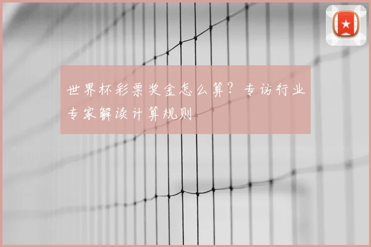 世界杯彩票奖金怎么算?专访行业专家解读计算规则