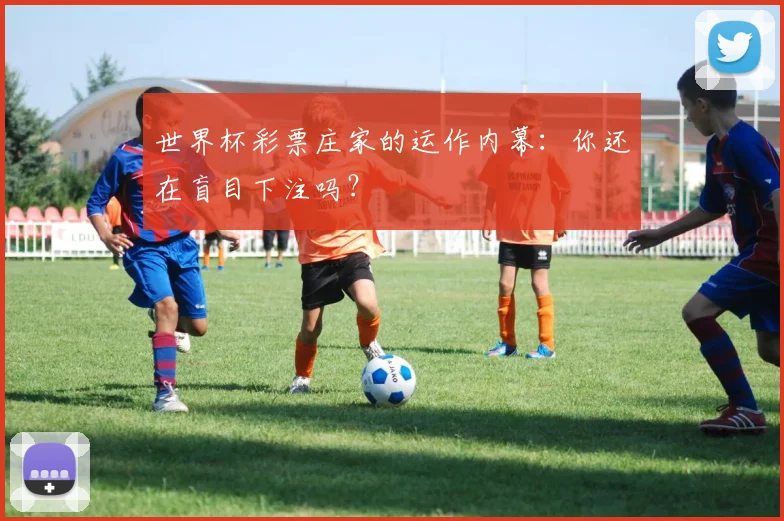 世界杯彩票庄家的运作内幕:你还在盲目下注吗?