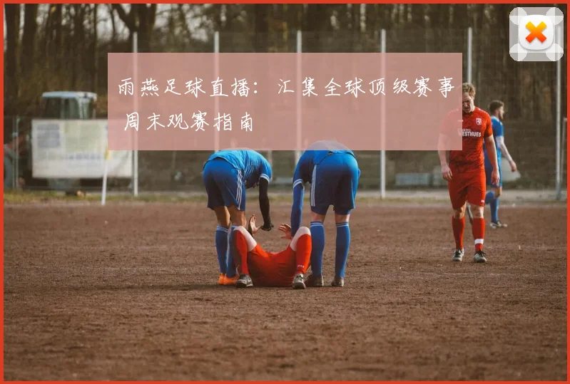雨燕足球直播：汇集全球顶级赛事 周末观赛指南