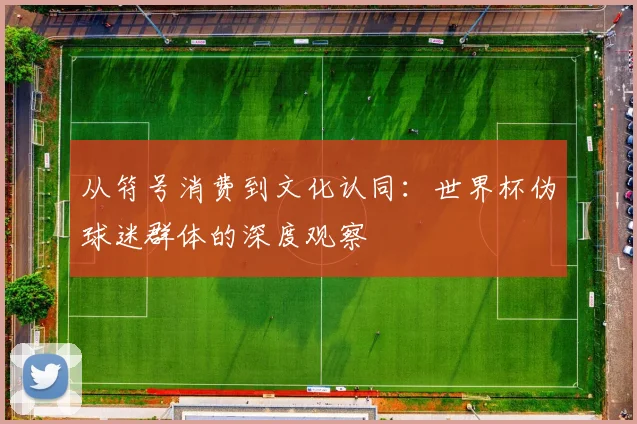 从符号消费到文化认同:世界杯伪球迷群体的深度观察