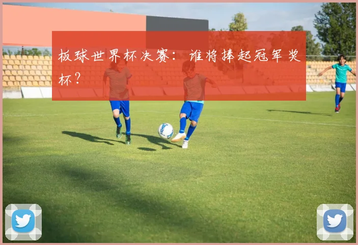 板球世界杯决赛:谁将捧起冠军奖杯?