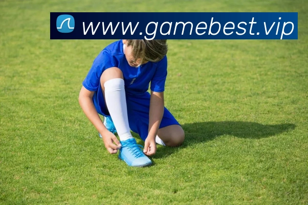 华体在线登录入口平台生态图